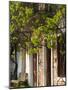 House Detail, Troianata, Kefalonia, Ionian Islands, Greece-Walter Bibikow-Mounted Photographic Print