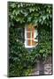 House, Detail, Window, Covered-Nora Frei-Mounted Photographic Print