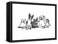 Framed Canvas