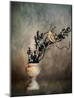 House Finch and Berries-Jai Johnson-Mounted Giclee Print