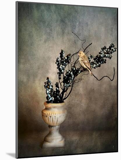 House Finch and Berries-Jai Johnson-Mounted Giclee Print