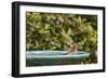 House Finch at the Backyard Bird Bath-Michael Qualls-Framed Photographic Print