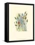 House Finches-Janet Mandel-Framed Stretched Canvas