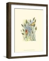 House Finches-Janet Mandel-Framed Art Print