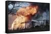 House Fire-null-Framed Stretched Canvas