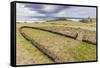 House Foundation and Sevem Moai in the Tahai Archaeological Zone-Michael-Framed Stretched Canvas