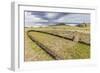 House Foundation and Sevem Moai in the Tahai Archaeological Zone-Michael-Framed Photographic Print