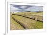 House Foundation and Sevem Moai in the Tahai Archaeological Zone-Michael-Framed Photographic Print