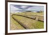 House Foundation and Sevem Moai in the Tahai Archaeological Zone-Michael-Framed Photographic Print