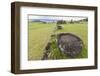 House Foundation and Seven Moai in the Tahai Archaeological Zone-Michael-Framed Photographic Print