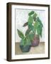 House Garden II-Chariklia Zarris-Framed Art Print