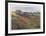 House in a Field-David Cain-Framed Collectable Print