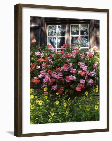 House in Gerstruben Near Oberstdorf, Allgau, Bavaria, Germany, Europe-Hans Peter Merten-Framed Photographic Print