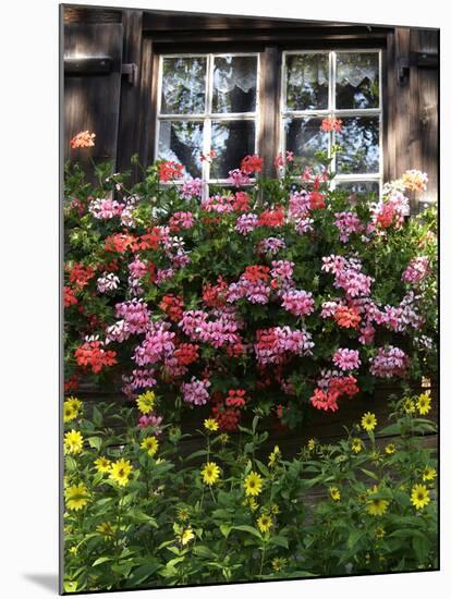 House in Gerstruben Near Oberstdorf, Allgau, Bavaria, Germany, Europe-Hans Peter Merten-Mounted Photographic Print