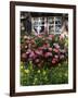 House in Gerstruben Near Oberstdorf, Allgau, Bavaria, Germany, Europe-Hans Peter Merten-Framed Photographic Print