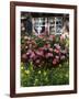 House in Gerstruben Near Oberstdorf, Allgau, Bavaria, Germany, Europe-Hans Peter Merten-Framed Photographic Print