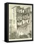 House in Nice, Demolished in the Riviera Earthquake, 1887-null-Framed Stretched Canvas