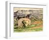 House in Provence, 1886-90-Paul Cézanne-Framed Giclee Print