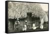 House in Rural Mexico-null-Framed Stretched Canvas