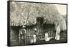 House in Rural Mexico-null-Framed Stretched Canvas