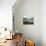 House in the Aquitaine, France, Europe-Adam Woolfitt-Photographic Print displayed on a wall