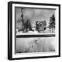 House in the Country, as Seen from Train Window-Walker Evans-Framed Photographic Print