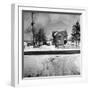 House in the Country, as Seen from Train Window-Walker Evans-Framed Photographic Print