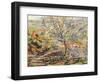 House in the Countryside; Maison Dans Un Paysage, c.1910-Armand Guillaumin-Framed Giclee Print