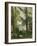 House in the Trees, Auvers-Paul Cézanne-Framed Giclee Print