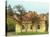 House in Tokaj Village, Mad, Hungary-Per Karlsson-Stretched Canvas