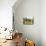 House in Tokaj Village, Mad, Hungary-Per Karlsson-Mounted Photographic Print displayed on a wall