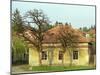 House in Tokaj Village, Mad, Hungary-Per Karlsson-Mounted Photographic Print