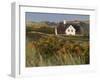 House 'Kliffende' Close Kampen (Municipality), Sylt (Island), Schleswig-Holstein, Germany-Rainer Mirau-Framed Photographic Print