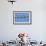 House Martins (Delichon Urbicum) Perched on Wire, with Another in Flight, Extremadura, Spain, April-Varesvuo-Framed Photographic Print displayed on a wall