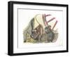 House Mice Mus Musculus Eating Corn in a Barn-null-Framed Giclee Print