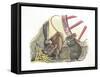 House Mice Mus Musculus Eating Corn in a Barn-null-Framed Stretched Canvas