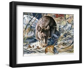 House Mouse (Mus Musculus), Muridae, Drawing-null-Framed Giclee Print