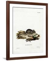 House Mouse-null-Framed Giclee Print