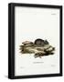 Essential Black