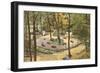 House of David Park, Benton Harbor, Michigan-null-Framed Art Print