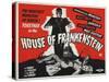 House of Frankenstein-Vintage Apple Collection-Stretched Canvas