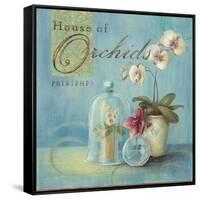 House of Orchids-Angela Staehling-Framed Stretched Canvas