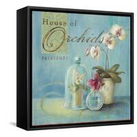 House of Orchids-Angela Staehling-Framed Stretched Canvas