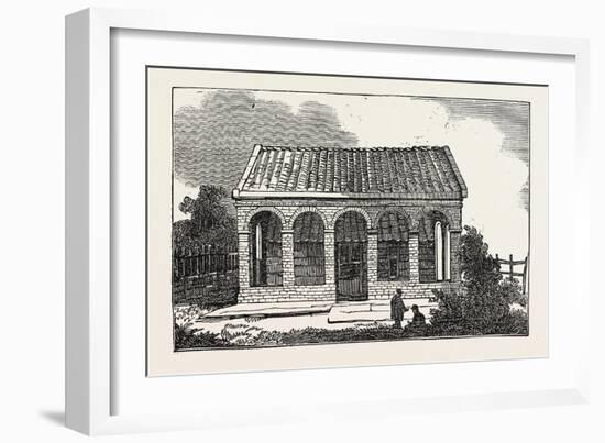 House of Peter the Great-null-Framed Giclee Print