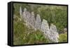 House of Pigeons (El Palomar), Uxmal, Mayan Archaeological Site, Yucatan, Mexico, North America-Richard Maschmeyer-Framed Stretched Canvas