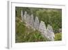 House of Pigeons (El Palomar), Uxmal, Mayan Archaeological Site, Yucatan, Mexico, North America-Richard Maschmeyer-Framed Photographic Print