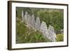 House of Pigeons (El Palomar), Uxmal, Mayan Archaeological Site, Yucatan, Mexico, North America-Richard Maschmeyer-Framed Photographic Print