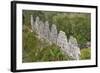 House of Pigeons (El Palomar), Uxmal, Mayan Archaeological Site, Yucatan, Mexico, North America-Richard Maschmeyer-Framed Photographic Print