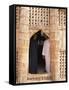 House of Reeds, Warka, Iraq, Middle East-Nico Tondini-Framed Stretched Canvas