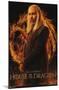 House of the Dragon - Viserys One Sheet-Trends International-Mounted Poster